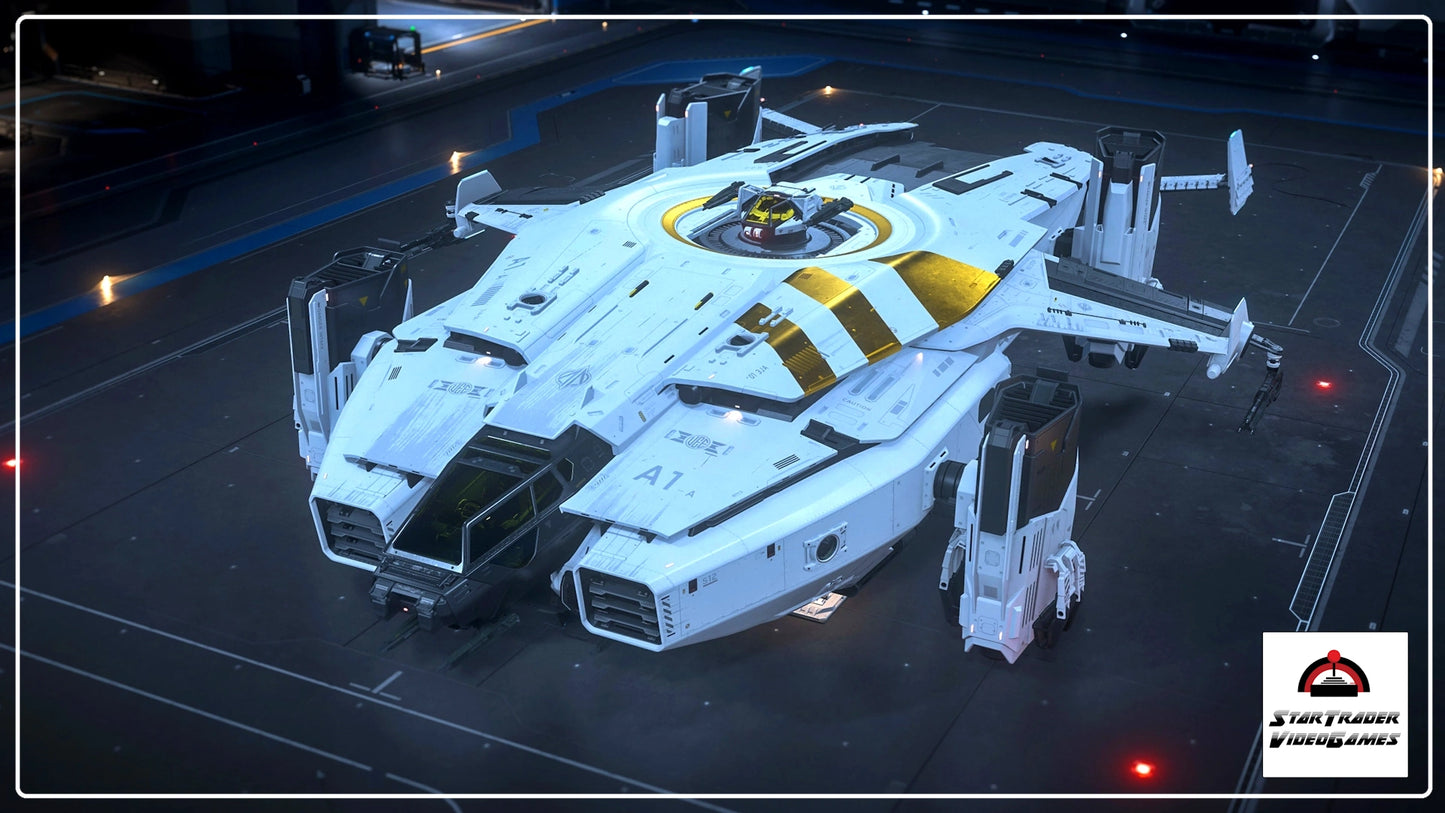 Anvil Valkyrie 2950 Best in Show paint for Star Citizen