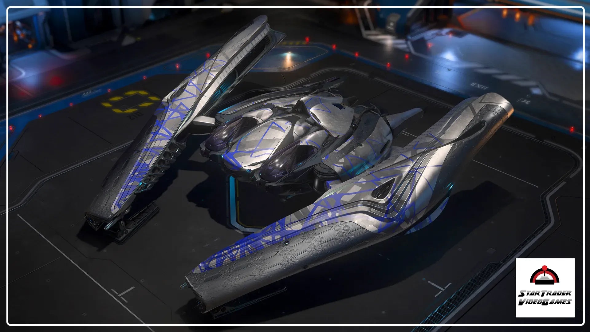 Star Citizen Defender Wanderer Paint